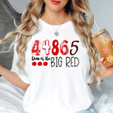 44865 Home of the Big Red DTF Print