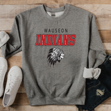 Wauseon Indians Italic Team DTF Print