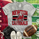 Hometown Classic Newton Cardinals 01 DTF Print
