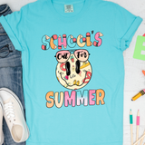 Schools Out for Summer DTF Print