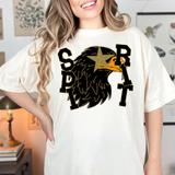 Starry Eye Spirit Hawks DTF Print