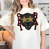 Starry Eye Spirit Panthers DTF Print