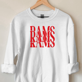Rams Casino DTF Print