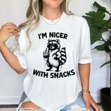 I'm Nicer with Snacks Raccoon DTF Print