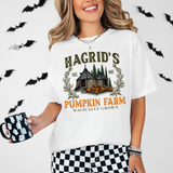 Hagrids Pumpkin Farm DTF Print
