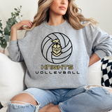 Knights Volleyball Silhouette DTF Print