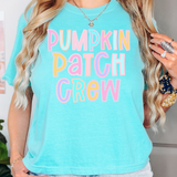 Pumpkin Patch Crew DTF Print