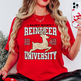Reindeer University DTF Print