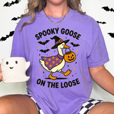 Spooky Goose On The Loose DTF Print