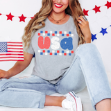 Distressed Checker USA DTF Print
