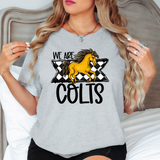 We Are Colts Checker DTF Print