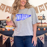 Wildcats Watercolor Pennant DTF Print