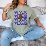 Wildcats Baseball Bolt DTF Print