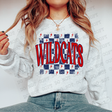 Distressed Wildcats Checker DTF Print