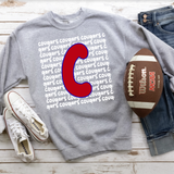 Cougars Funky Repeat DTF Print