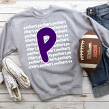 Panthers Funky Repeat DTF Print