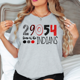 29054 Home of the Indians DTF Print