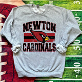 Hometown Classic Newton Cardinals 02 DTF Print