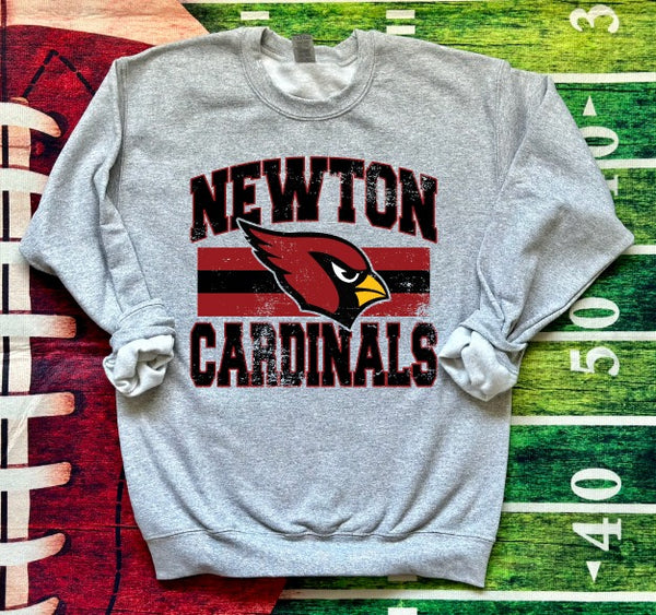 Hometown Classic Newton Cardinals 02 DTF Print