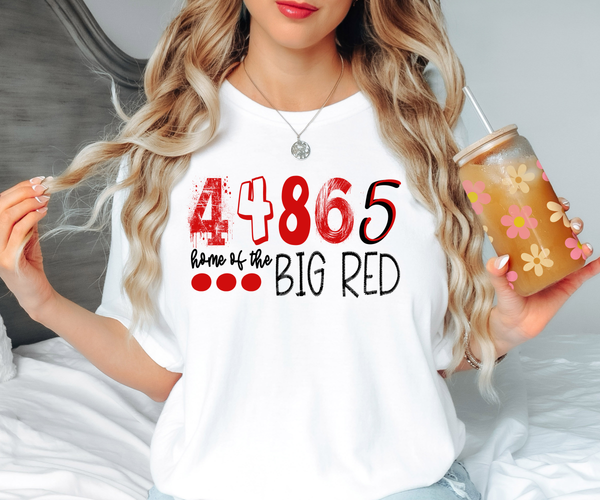 44865 Home of the Big Red DTF Print