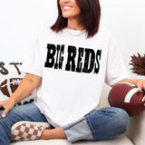 Big Reds Mixed Up DTF Print