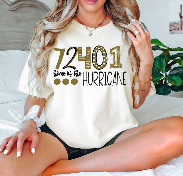72401 Home of the Hurricane DTF Print