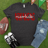 Arkansas Razorbacks Distressed Block DTF Print
