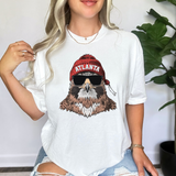 Vintage Beanie Mascots DTF Print