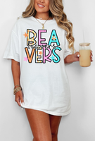 Beavers Spring Star Doodle Mix DTF Print