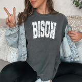 Bison Varsity Distressed Teams DTF Print