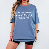 The One Where America Turns 250 DTF Print