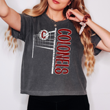 Colonels Team Volleyball Net Distressed DTF Print