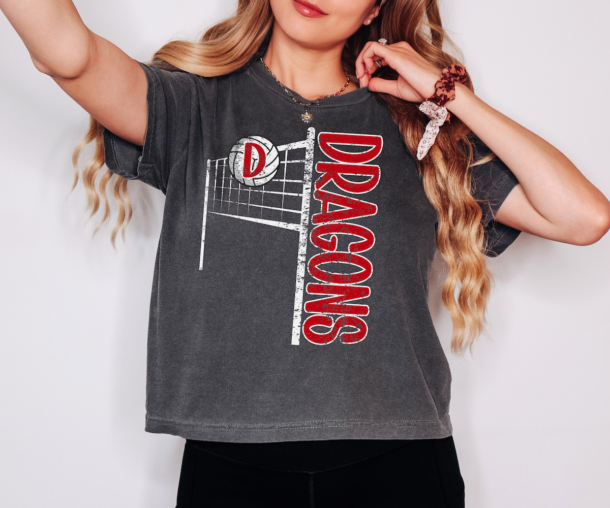 Dragons Team Volleyball Net Distressed DTF Print