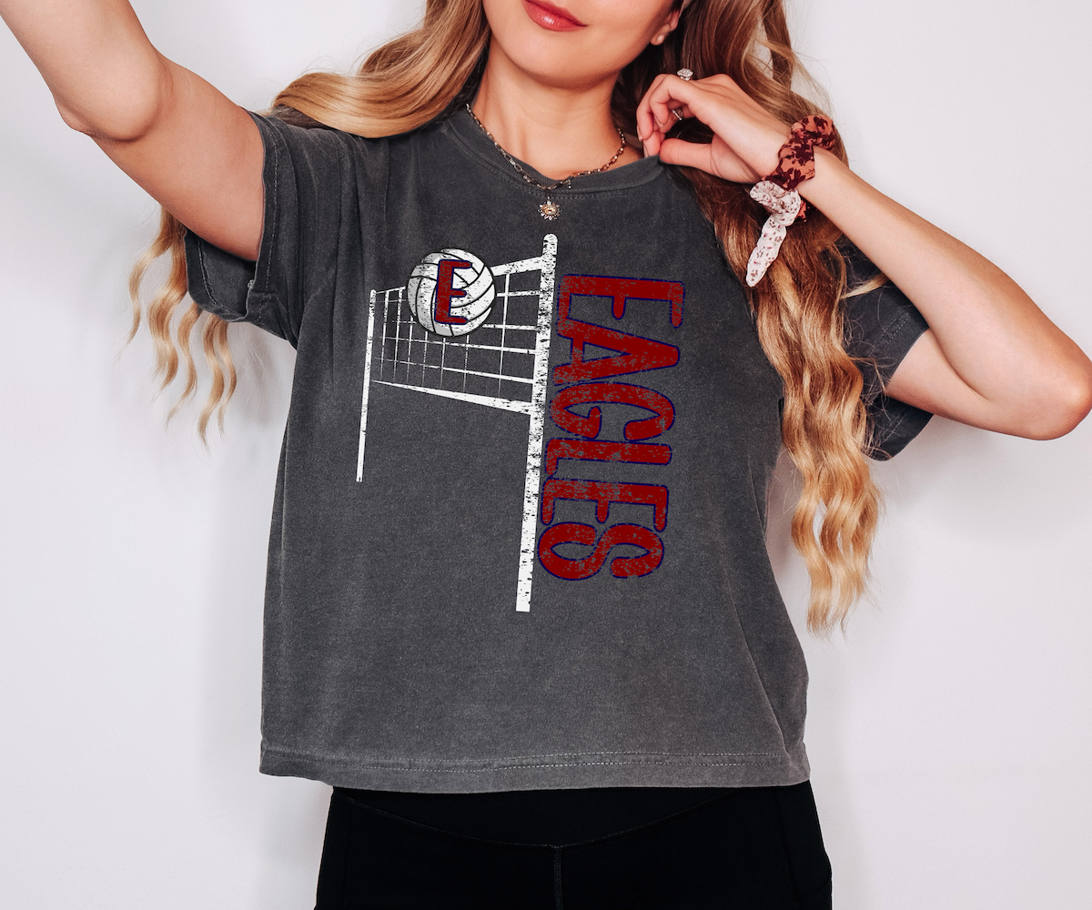 Eagles Team Volleyball Net Distressed DTF Print