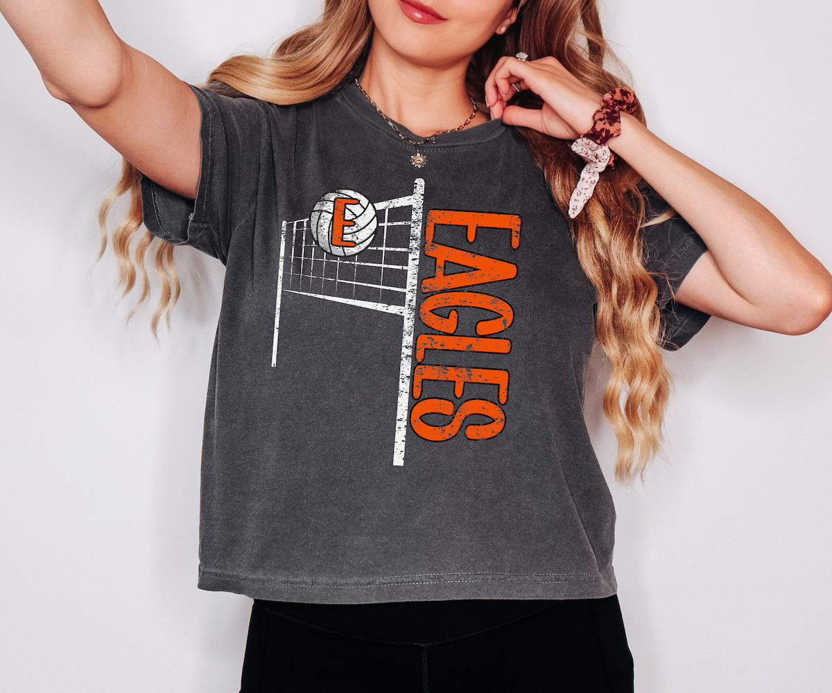 Eagles Team Volleyball Net Distressed DTF Print