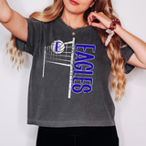 Eagles Team Volleyball Net Distressed DTF Print