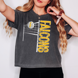 Falcons Team Volleyball Net Distressed DTF Print