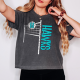 Hawks Team Volleyball Net Distressed DTF Print