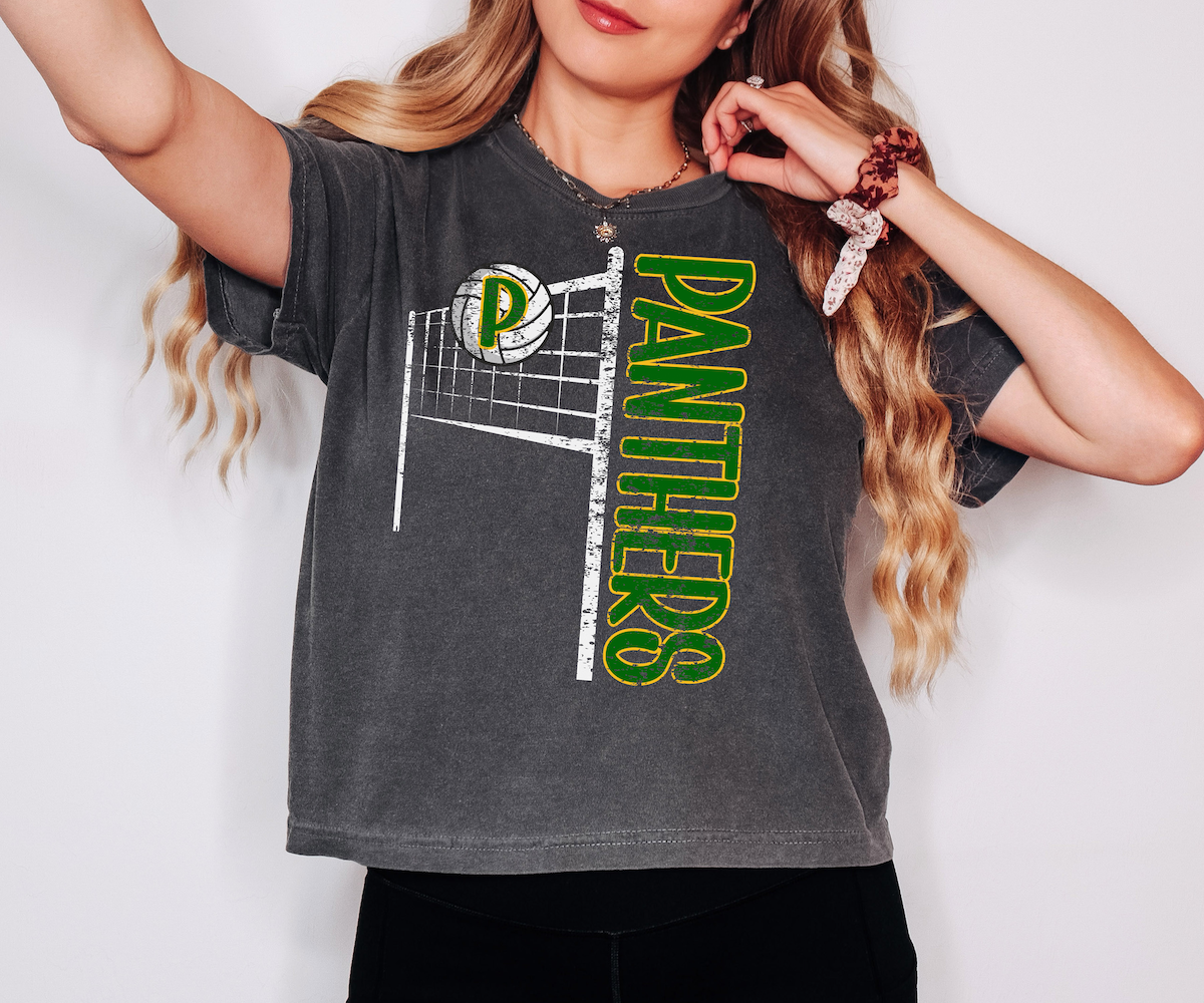 Panthers Team Volleyball Net Distressed DTF Print