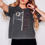 Panthers Team Volleyball Net Distressed DTF Print