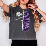 Panthers Team Volleyball Net Distressed DTF Print