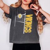 Vikings Team Volleyball Net Distressed DTF Print