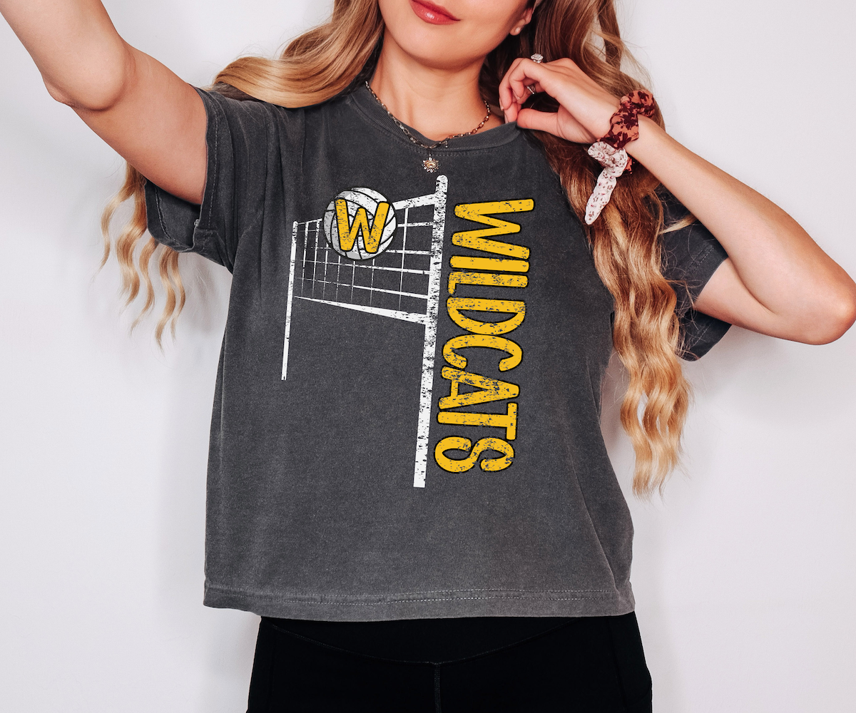 Wildcats Team Volleyball Net Distressed DTF Print