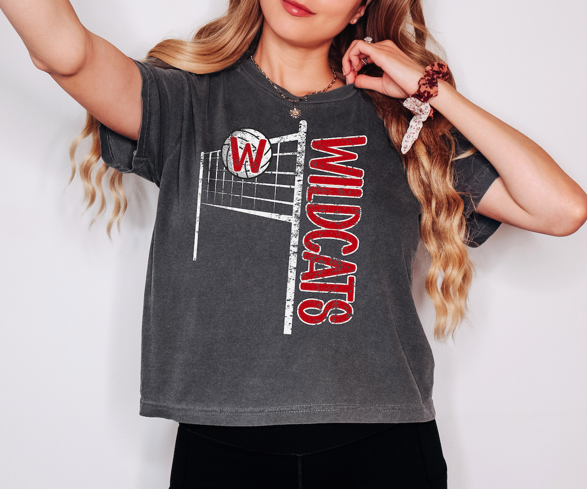Wildcats Team Volleyball Net Distressed DTF Print