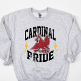 Cardinal Pride2 DTF Print