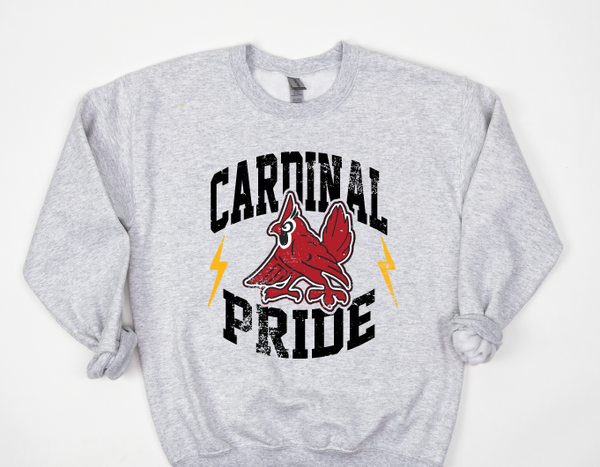 Cardinal Pride2 DTF Print