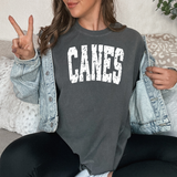 Canes Varsity Distressed Teams DTF Print