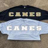 Canes Team Banner DTF Print