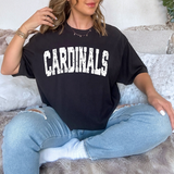 Cardinals Varsity Distressed Teams DTF Print