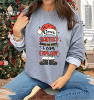 Dear Santa I Can Explain  DTF Print